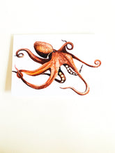 Load image into Gallery viewer, Octopus Notecard