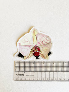 Orchid  sticker