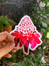 Load image into Gallery viewer, Torch Ginger Sticker