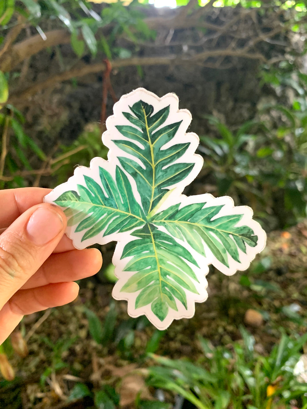 Ulu Leaf Sticker
