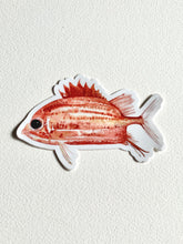Load image into Gallery viewer, Alaihi Fish Sticker