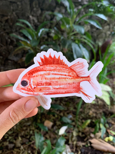 Alaihi Fish Sticker