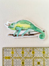 Load image into Gallery viewer, Jackson Chameleon Sticker