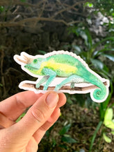 Load image into Gallery viewer, Jackson Chameleon Sticker