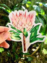 Load image into Gallery viewer, Protea sticker