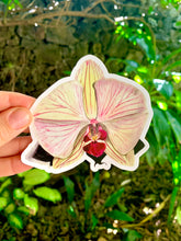 Load image into Gallery viewer, Orchid  sticker